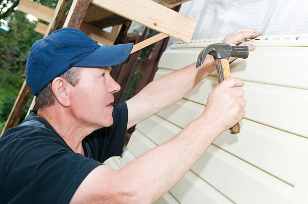 Best Vinyl Siding Installation  in Wayne, IL