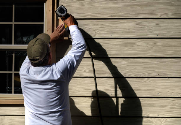 Best Weatherproofing and Sealing  in Wayne, IL