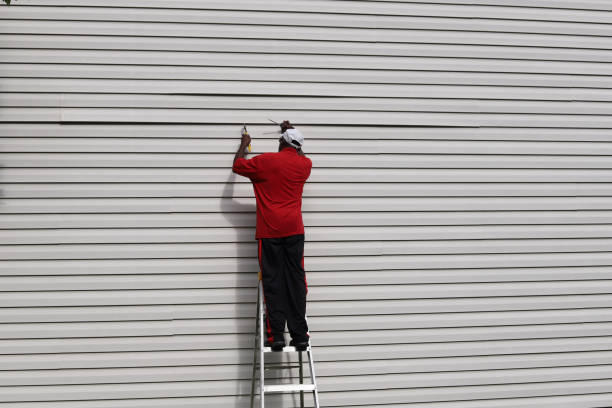 Best Custom Siding Design  in Wayne, IL